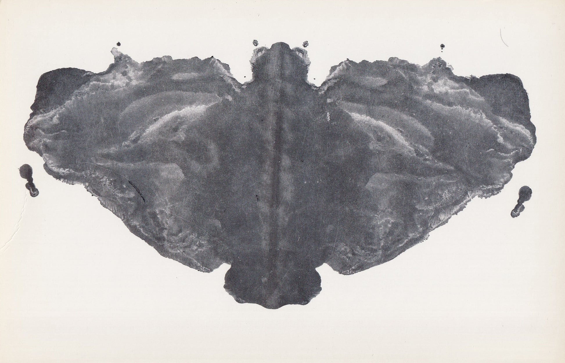1958 HOLTZMAN INKBLOT TEST Card - Inkblot Test Print - Psychology Wall Art - Psychiatry Wall Art - Inkblot Wall Art - 8.5 x 5.5 Inches