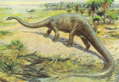 1960 DIPLODOCUS DINOSAUR Print - Prehistoric Animals Print - Paleoart - Dinosaur Decoration - 63 Years Old - 13.5 x 9.75 Inches