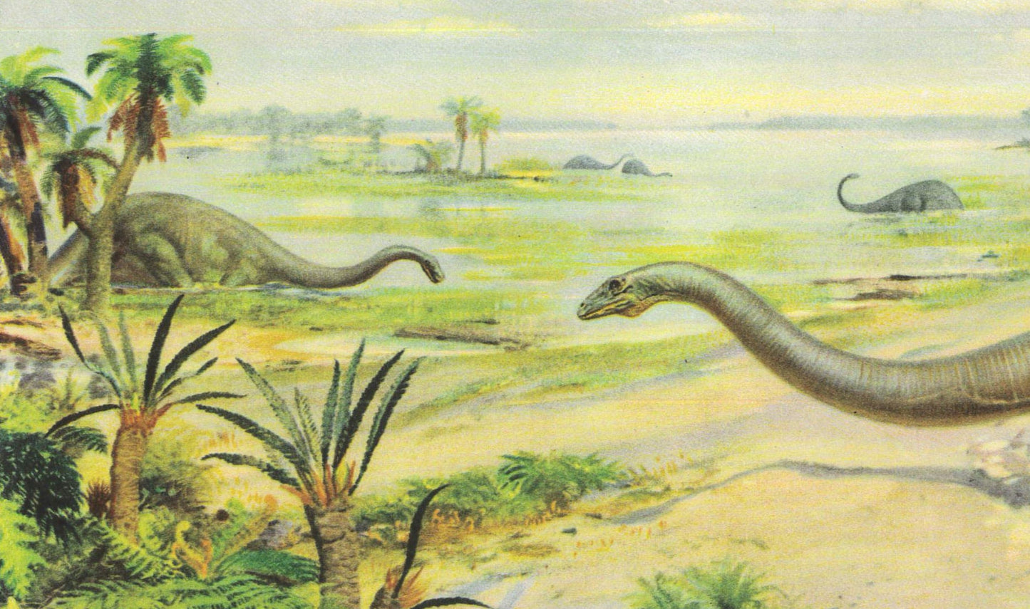 1960 DIPLODOCUS DINOSAUR Print - Prehistoric Animals Print - Paleoart - Dinosaur Decoration - 63 Years Old - 13.5 x 9.75 Inches