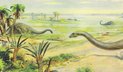 1960 DIPLODOCUS DINOSAUR Print - Prehistoric Animals Print - Paleoart - Dinosaur Decoration - 63 Years Old - 13.5 x 9.75 Inches