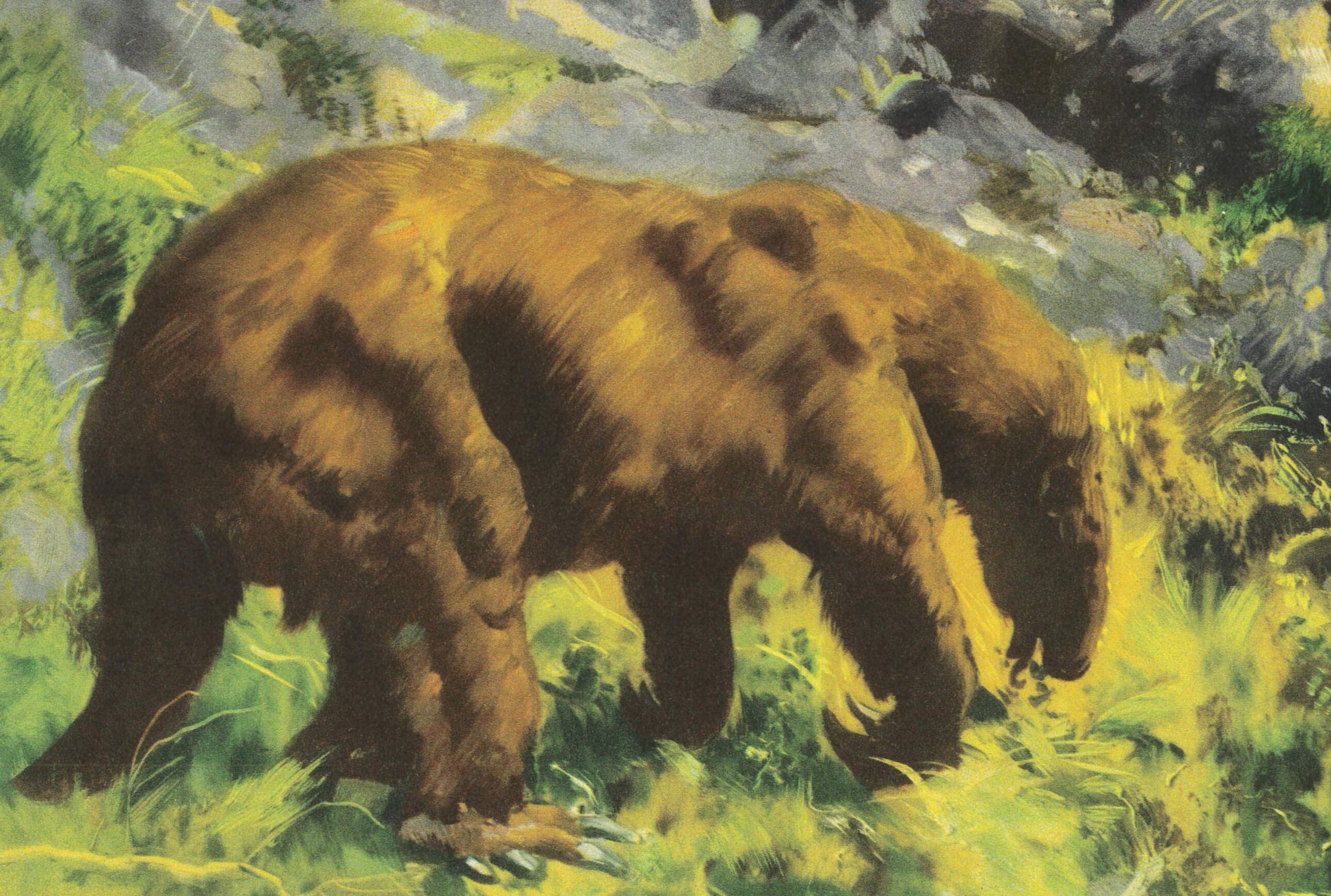 1960 SMILODON vs NOTHROTHERIUM Print - Prehistoric Animals Print - Paleoart - Sabre-Toothed Tiger - 63 Years Old - 13.5 x 9.75 Inches