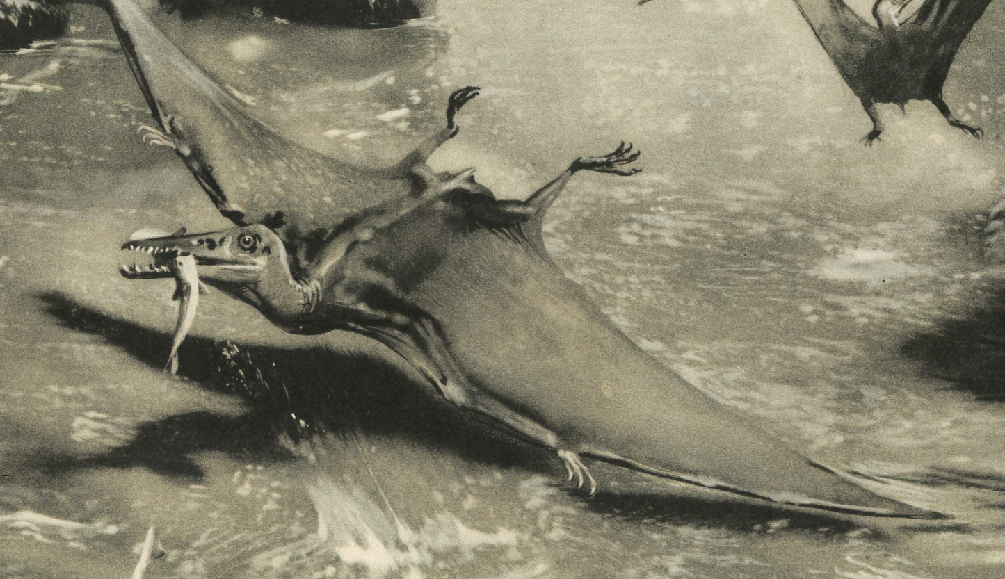 1960 PTERODACTYL Print - Prehistoric Animals Print - Paleoart - Dinosaur Wall Art - Dinosaur Print - 63 Years Old - 13.5 x 9.75 Inches