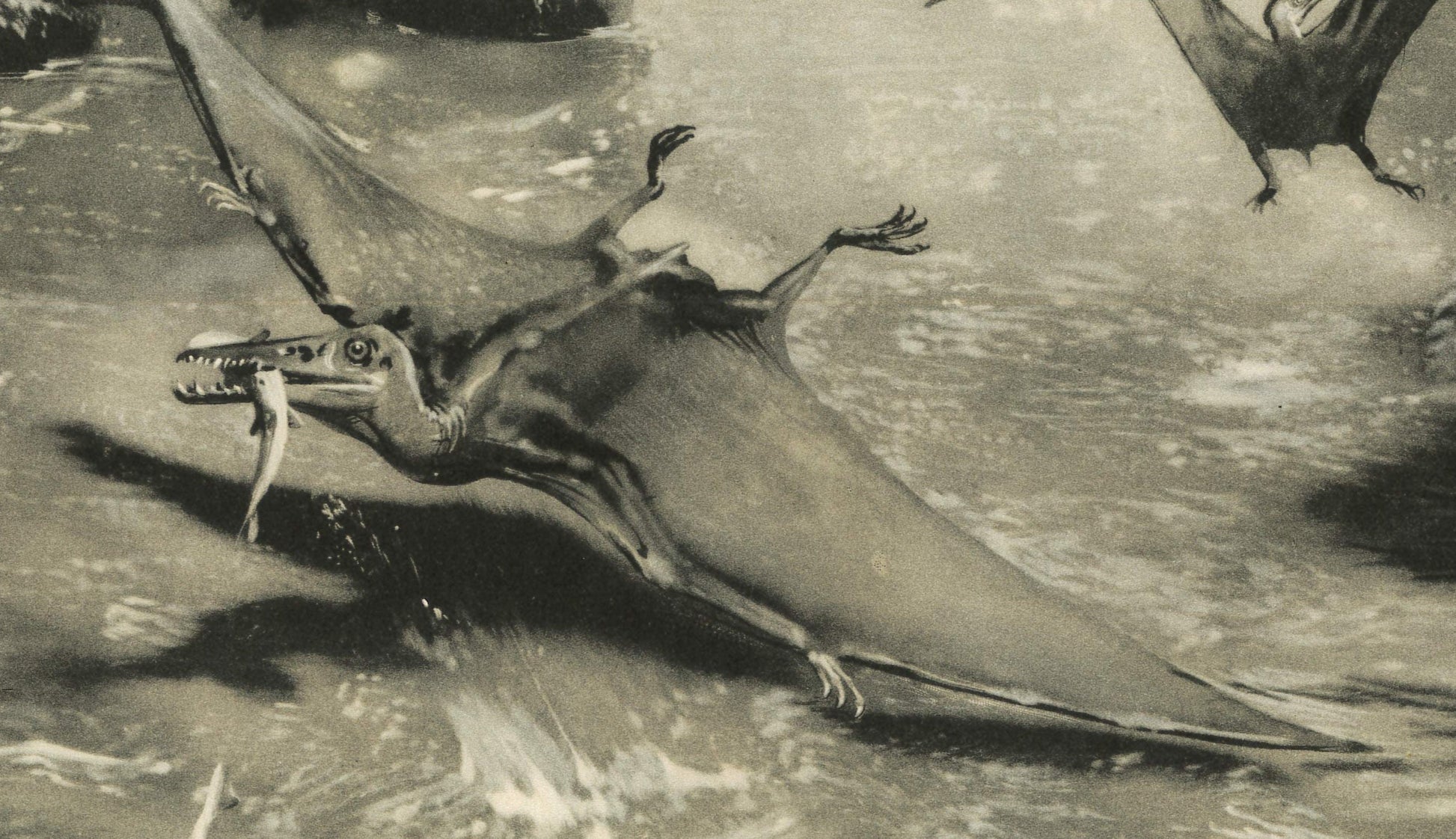 1960 PTERODACTYL Print - Prehistoric Animals Print - Paleoart - Dinosaur Wall Art - Dinosaur Print - 63 Years Old - 13.5 x 9.75 Inches