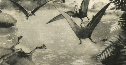 1960 PTERODACTYL Print - Prehistoric Animals Print - Paleoart - Dinosaur Wall Art - Dinosaur Print - 63 Years Old - 13.5 x 9.75 Inches