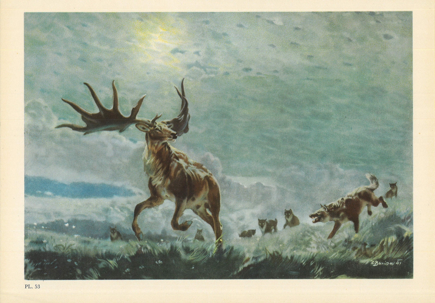 1960 IRISH ELK Print - Prehistoric Animals Print - Giant Deer Print - Paleoart - Cave Man Art - 63 Years Old - 13.5 x 9.75 Inches