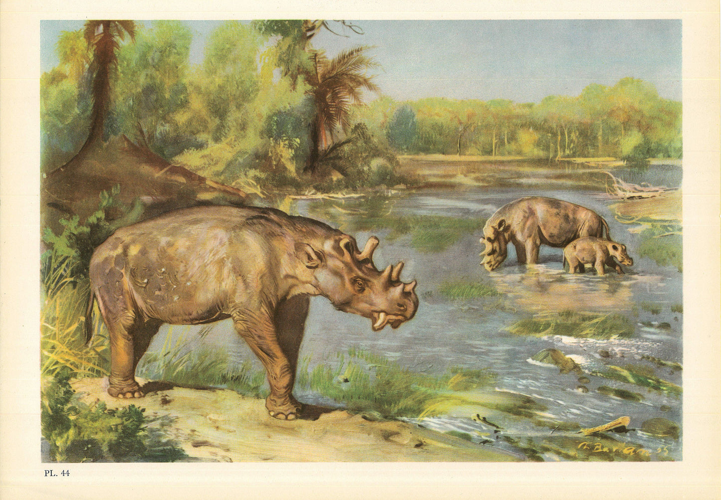 1960 UINTATHERIUM Print - Prehistoric Animals Print - Paleoart - Cave Man Art - 63 Years Old - 13.5 x 9.75 Inches