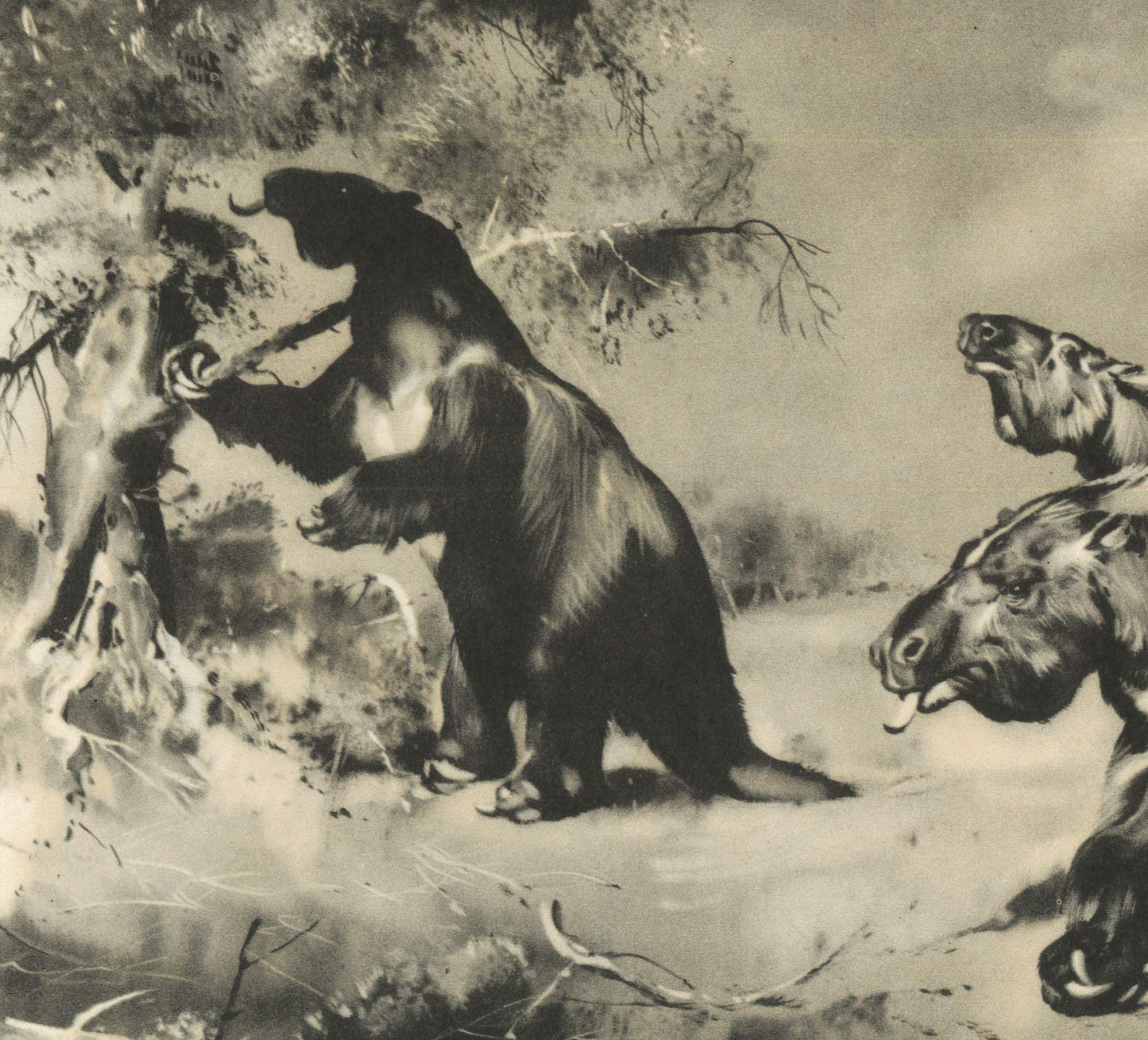 1960 GIANT SLOTH (MEGATHERIUM) Print - Prehistoric Animals Print - Paleoart - Cave Man Art - 63 Years Old - 13.5 x 9.75 Inches
