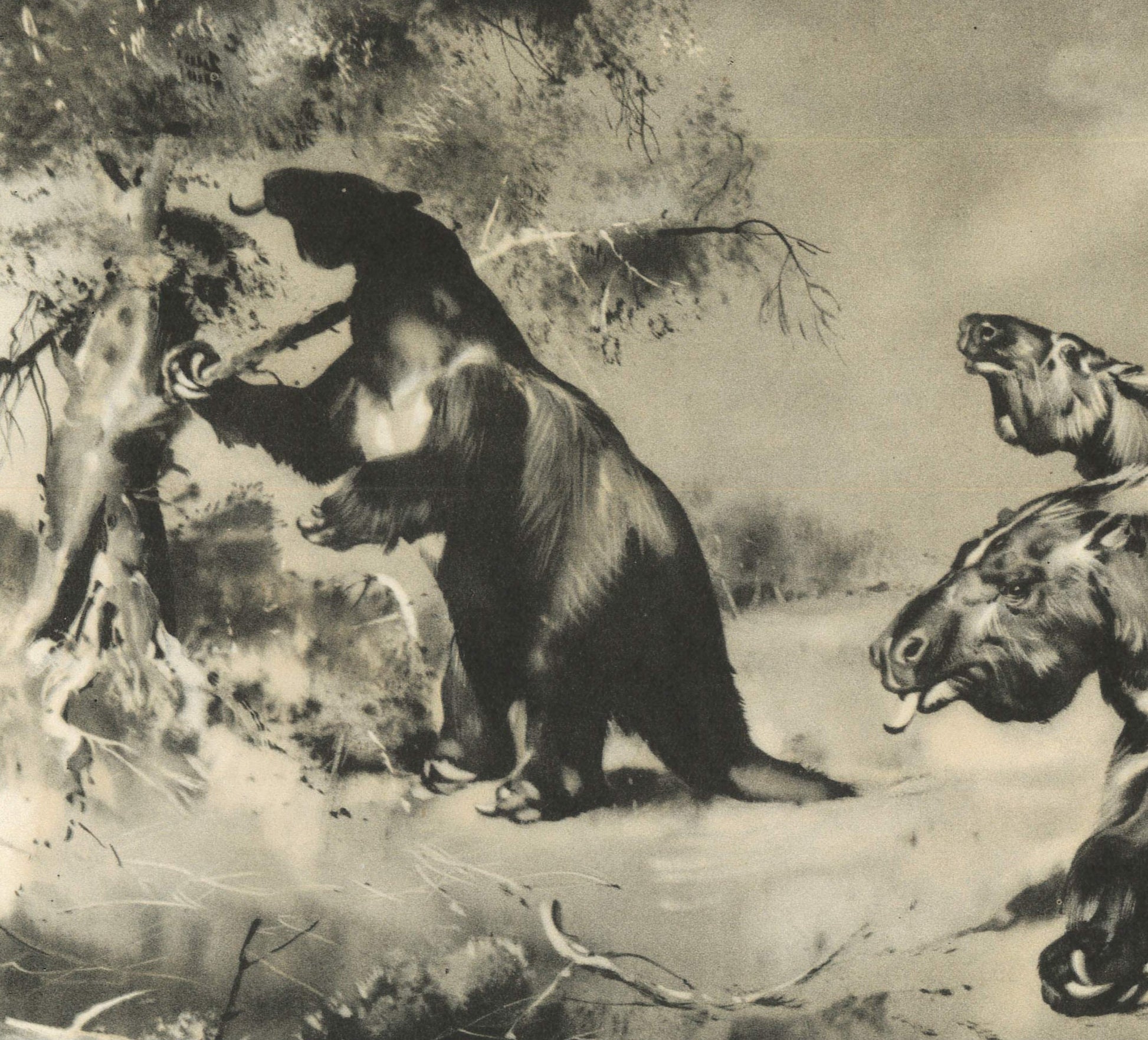 1960 GIANT SLOTH (MEGATHERIUM) Print - Prehistoric Animals Print - Paleoart - Cave Man Art - 63 Years Old - 13.5 x 9.75 Inches