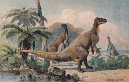 1902 IGUANODON Print - Antique Dinosaur Print - Paleoart - Prehistoric Wall Art - 121 Years Old - 10.5 x 7.5 Inches