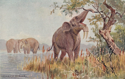 1902 DEINOTHERIUM Print - Antique Extinct Animal Print - Paleoart - Prehistoric Wall Art - 121 Years Old - 10.5 x 7.5 Inches