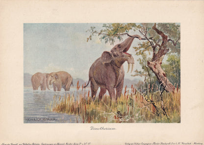 1902 DEINOTHERIUM Print - Antique Extinct Animal Print - Paleoart - Prehistoric Wall Art - 121 Years Old - 10.5 x 7.5 Inches