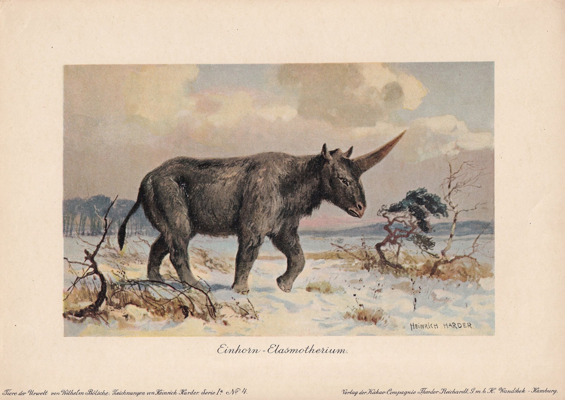 1902 SIBERIAN UNICORN Print - Antique Extinct Animal Print - Paleoart - Prehistoric Wall Art - 121 Years Old - 10.5 x 7.5 Inc