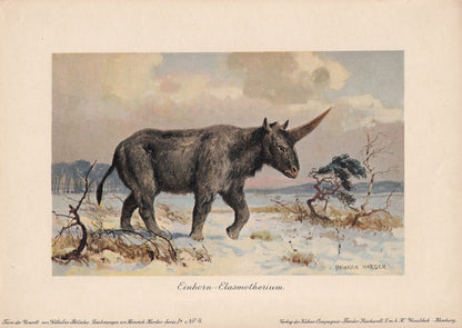 1902 SIBERIAN UNICORN Print - Antique Extinct Animal Print - Paleoart - Prehistoric Wall Art - 121 Years Old - 10.5 x 7.5 Inc