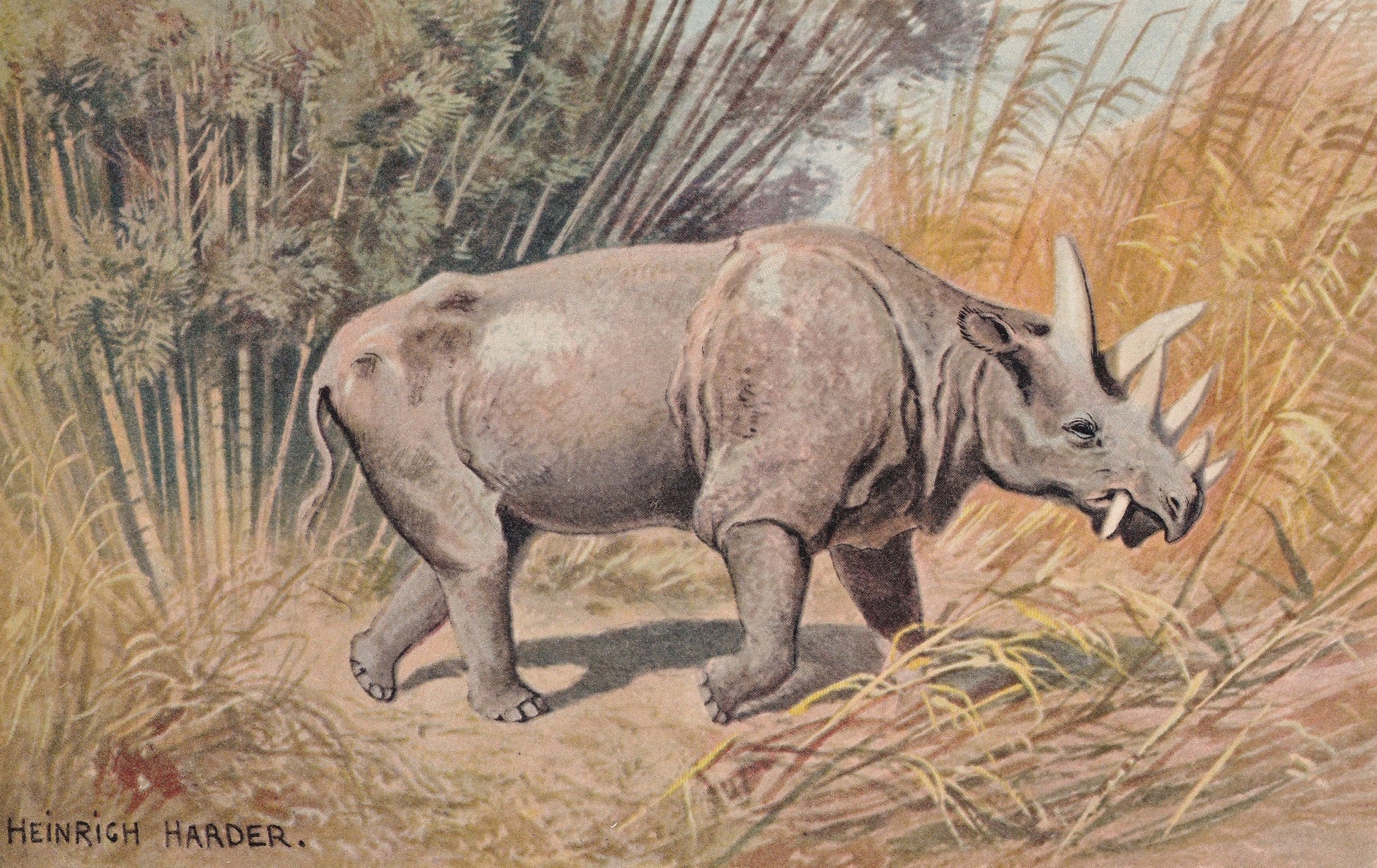 1902 UINTATHERIUM Print - Antique Extinct Animal Print - Paleoart - Prehistoric Wall Art - 121 Years Old - 10.5 x 7.5 Inches