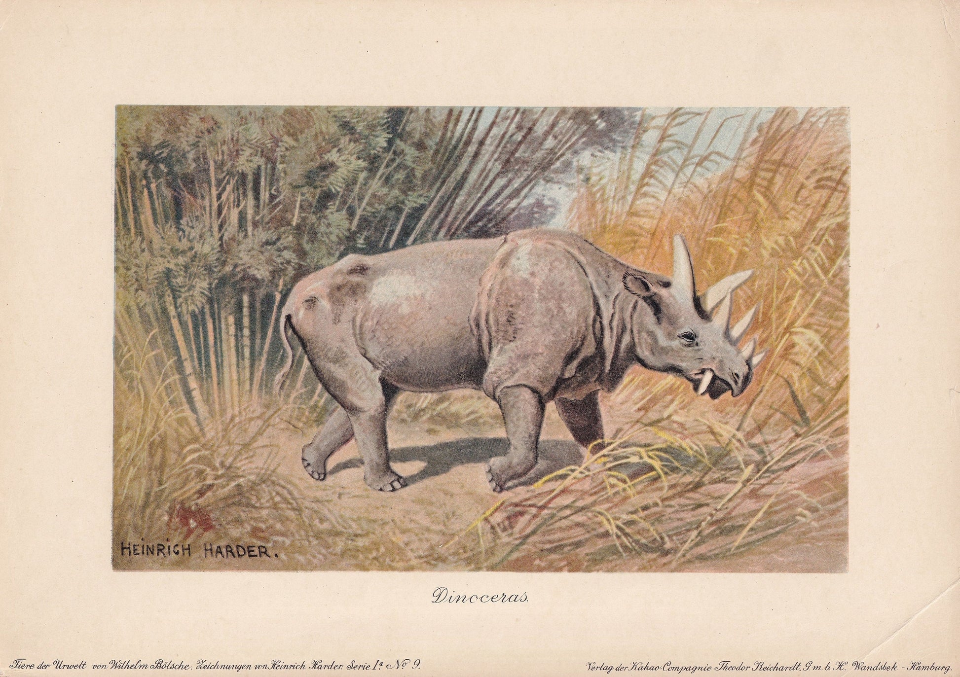 1902 UINTATHERIUM Print - Antique Extinct Animal Print - Paleoart - Prehistoric Wall Art - 121 Years Old - 10.5 x 7.5 Inches