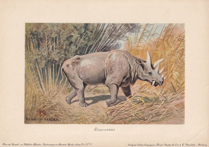 1902 UINTATHERIUM Print - Antique Extinct Animal Print - Paleoart - Prehistoric Wall Art - 121 Years Old - 10.5 x 7.5 Inches