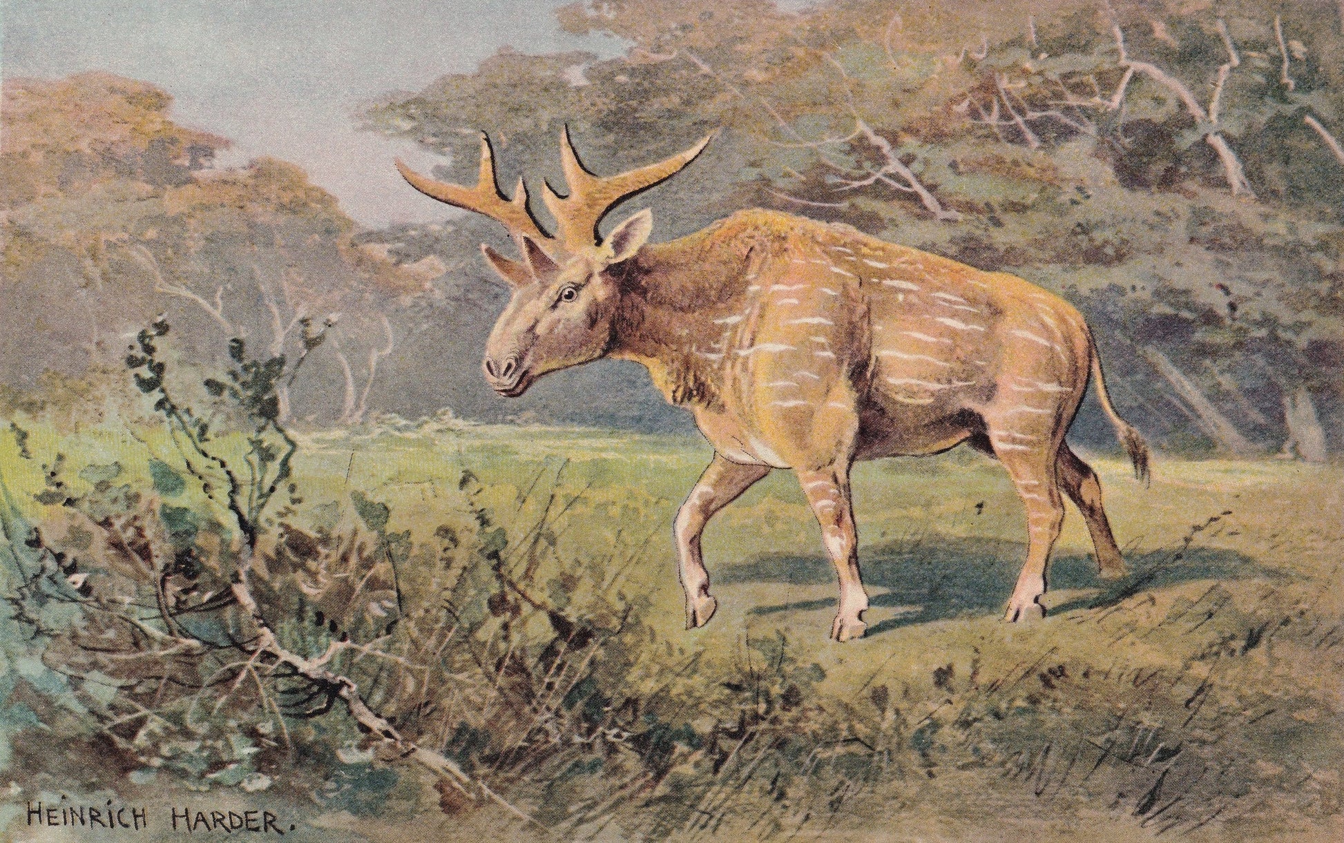 1902 SIVATHERIUM Print - Antique Extinct Animal Print - Paleoart - Prehistoric Wall Art - 121 Years Old - 10.5 x 7.5 Inches