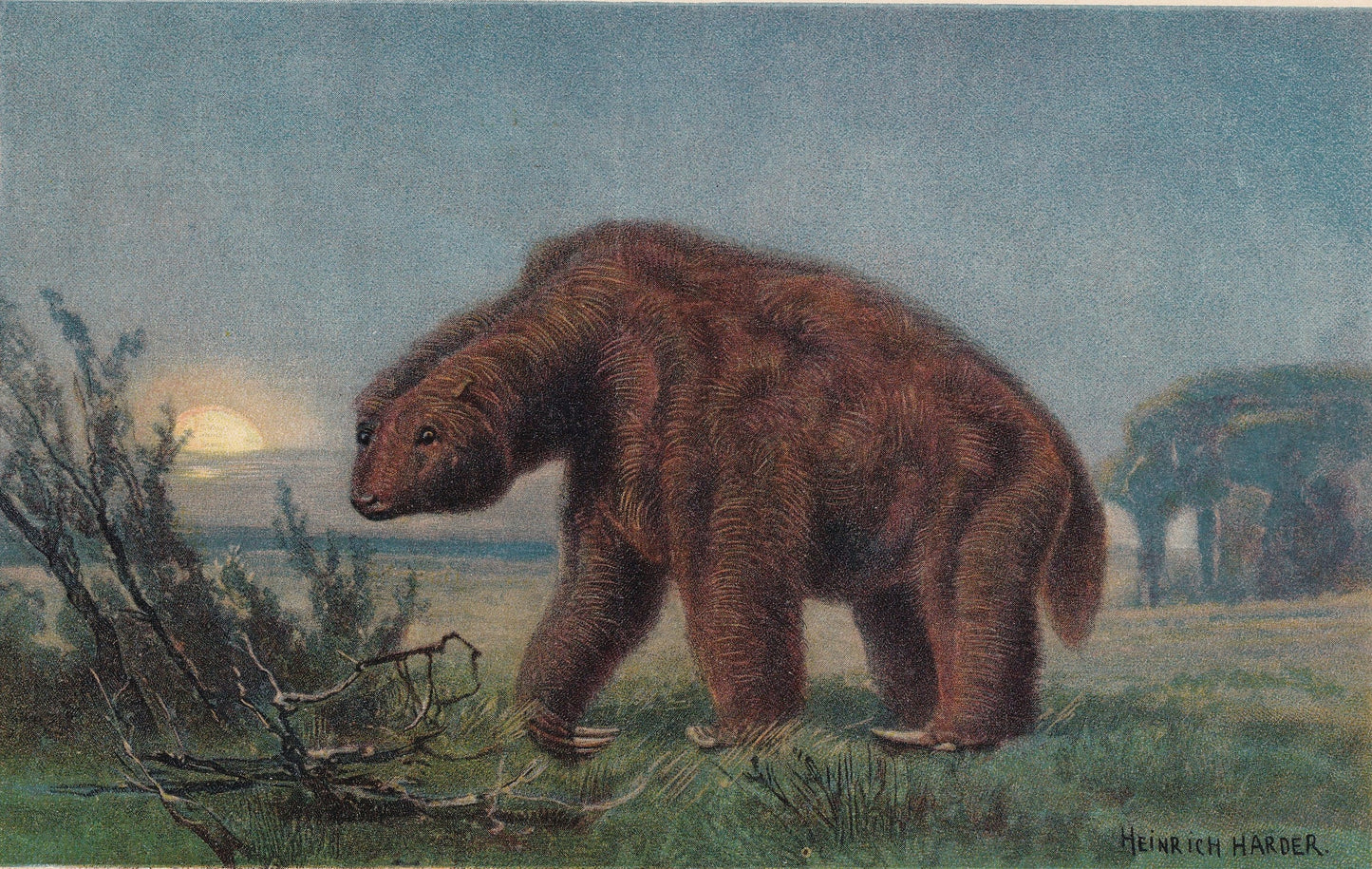 1902 GROUND SLOTH Print - Antique Extinct Animal Print - Paleoart - Prehistoric Wall Art - 121 Years Old - 10.5 x 7.5 Inches