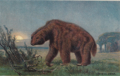 1902 GROUND SLOTH Print - Antique Extinct Animal Print - Paleoart - Prehistoric Wall Art - 121 Years Old - 10.5 x 7.5 Inches