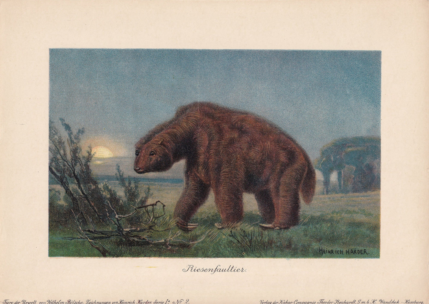 1902 GROUND SLOTH Print - Antique Extinct Animal Print - Paleoart - Prehistoric Wall Art - 121 Years Old - 10.5 x 7.5 Inches