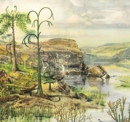 1960 DEVONIAN PERIOD LANDSCAPE Print - Prehistoric Print - Paleoart - Paleontology Print - Dinosaur Print - 13.5 x 9.75 Inches