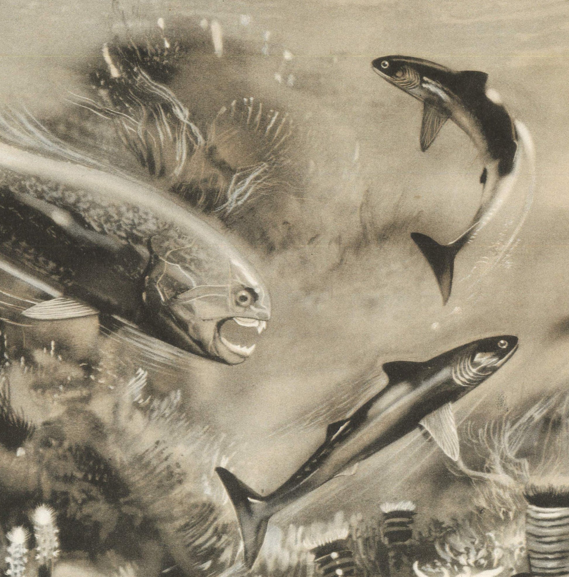 1960 DINICHTHYS Print - Prehistoric Animals Print - Paleoart - Paleontology Print - Dinosaur Print - 63 Years Old - 13.5 x 9.75 Inches