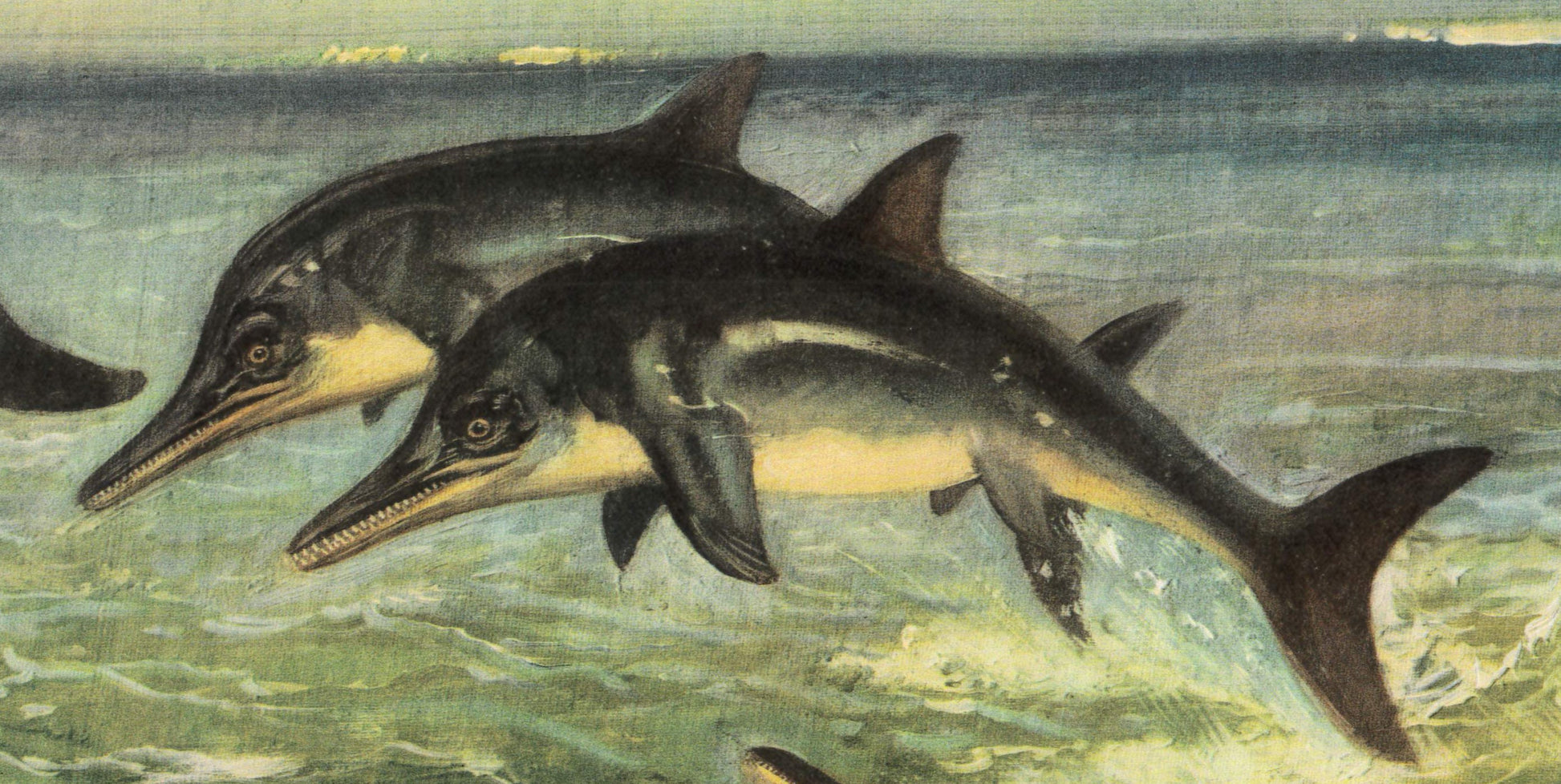 1960 ICHTHYOSAUR (STENOPTERYGIUS) Print - Prehistoric Animals Print - Paleoart - Dinosaur Decoration - 63 Years Old - 13.5 x 9.75 Inches