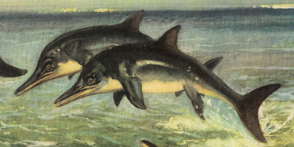1960 ICHTHYOSAUR (STENOPTERYGIUS) Print - Prehistoric Animals Print - Paleoart - Dinosaur Decoration - 63 Years Old - 13.5 x 9.75 Inches