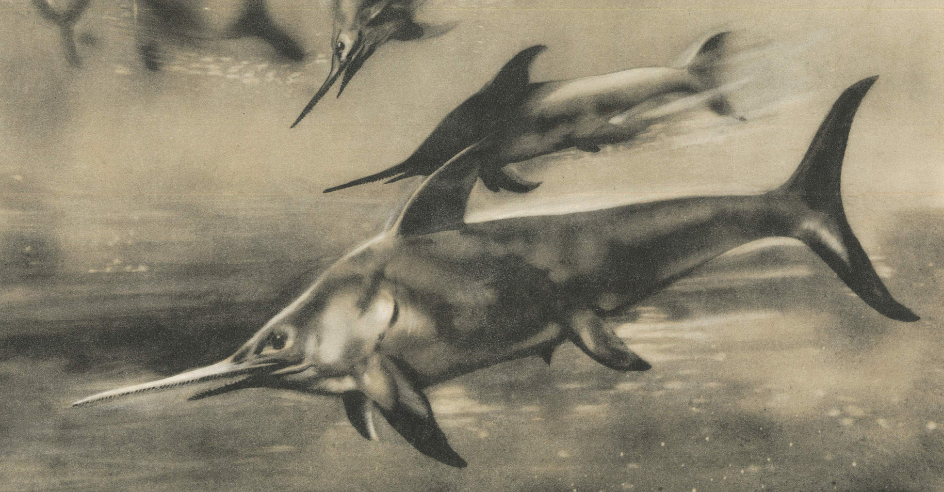 1960 ICHTHYOSAUR (EURHINOSAURUS) Print - Prehistoric Animals Print - Paleoart - Dinosaur Decoration - 63 Years Old - 13.5 x 9.75 Inches