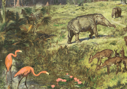 1960 MIOCENE EPOCH Print - Prehistoric Animals Print - Paleoart - Paleontology Print - 63 Years Old - 13.5 x 9.75 Inches