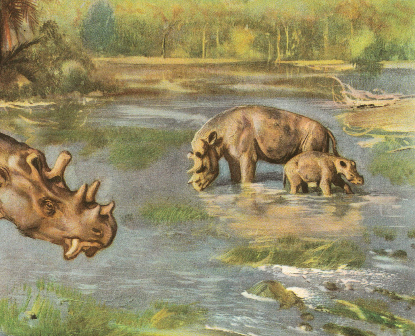 1960 UINTATHERIUM Print - Prehistoric Animals Print - Paleoart - Cave Man Art - 63 Years Old - 13.5 x 9.75 Inches