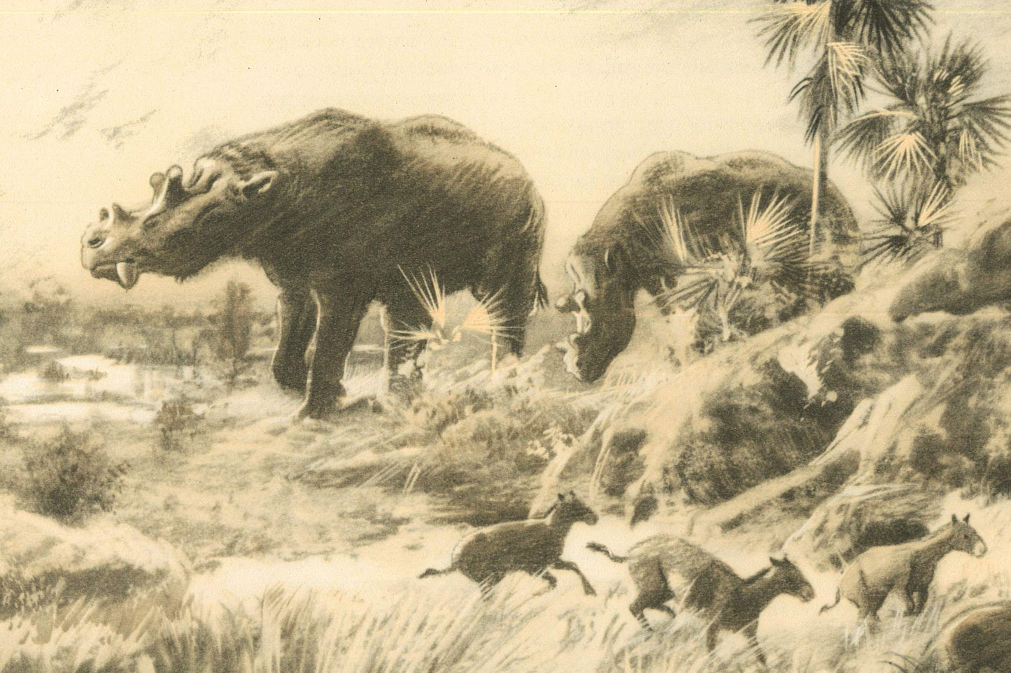 1960 OROHIPPUS Print - Prehistoric Animals Print - Paleoart - Eocene Horse - Eohippus - 63 Years Old - 13.5 x 9.75 Inches