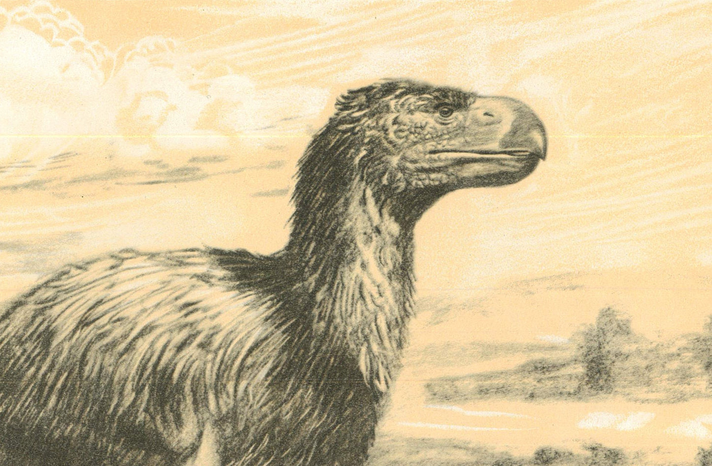 1960 GASTORNIS (DIATRYMA) Print - Prehistoric Animals Print - Paleoart - Paleontology Print - Bird - 63 Years Old - 13.5 x 9.