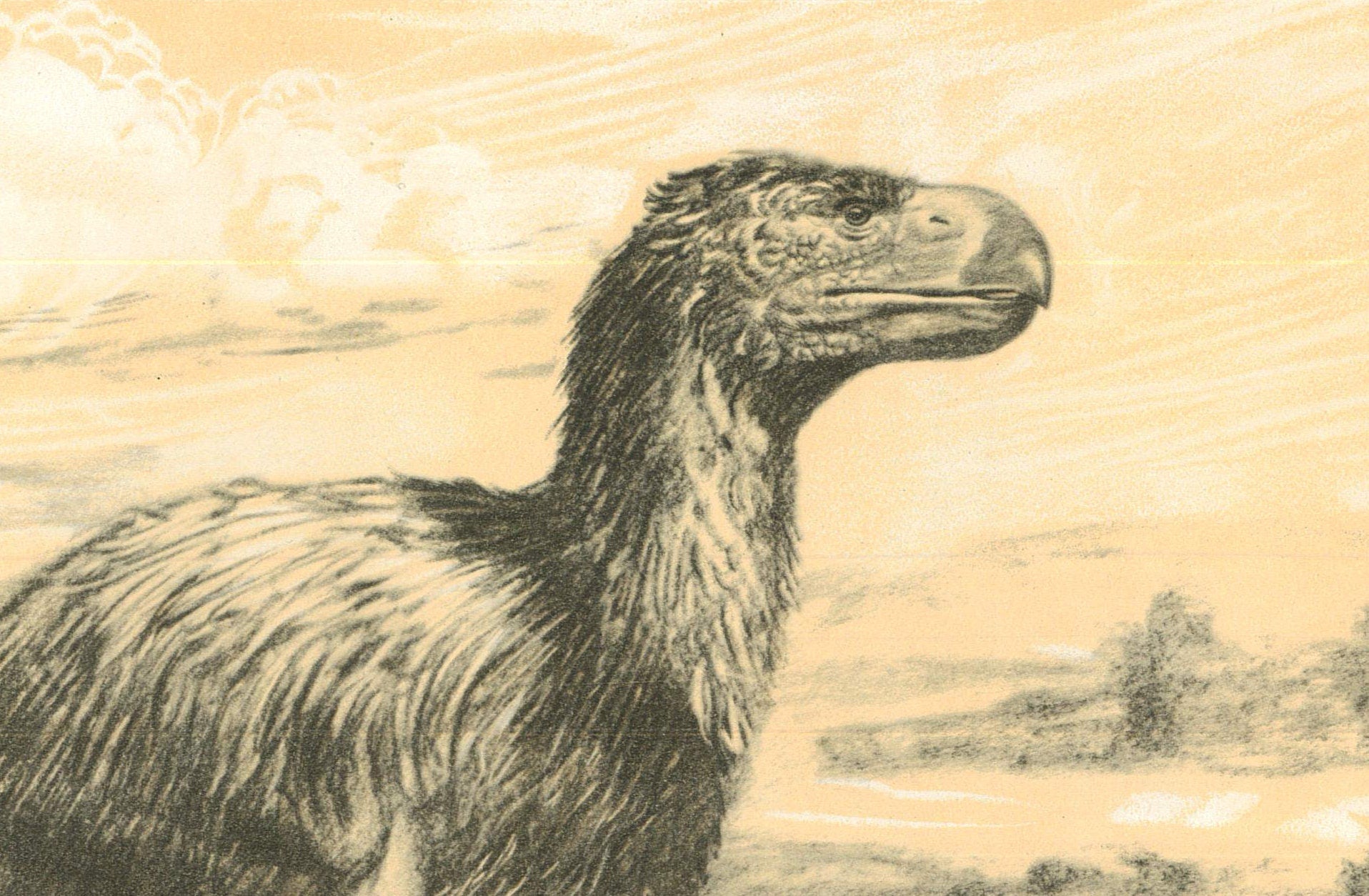 1960 GASTORNIS (DIATRYMA) Print - Prehistoric Animals Print - Paleoart - Paleontology Print - Bird - 63 Years Old - 13.5 x 9.