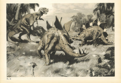 1960 STEGOSAURUS DINOSAUR Print - Prehistoric Animals Print - Paleoart - Dinosaur Decoration - 63 Years Old - 13.5 x 9.75 Inches