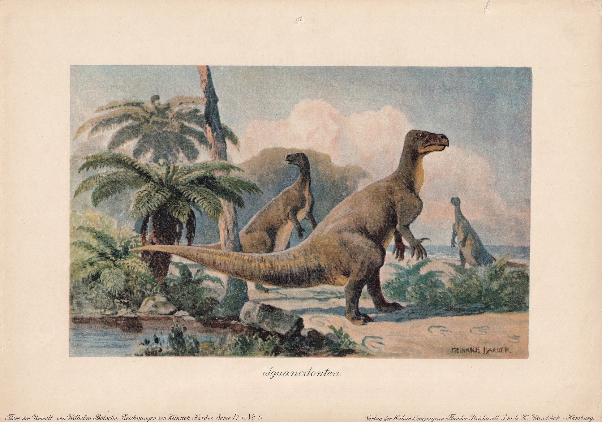 1902 IGUANODON Print - Antique Dinosaur Print - Paleoart - Prehistoric Wall Art - 121 Years Old - 10.5 x 7.5 Inches