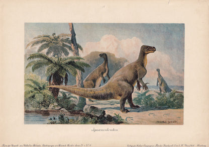 1902 IGUANODON Print - Antique Dinosaur Print - Paleoart - Prehistoric Wall Art - 121 Years Old - 10.5 x 7.5 Inches