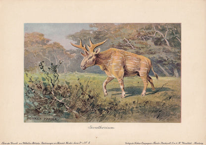1902 SIVATHERIUM Print - Antique Extinct Animal Print - Paleoart - Prehistoric Wall Art - 121 Years Old - 10.5 x 7.5 Inches