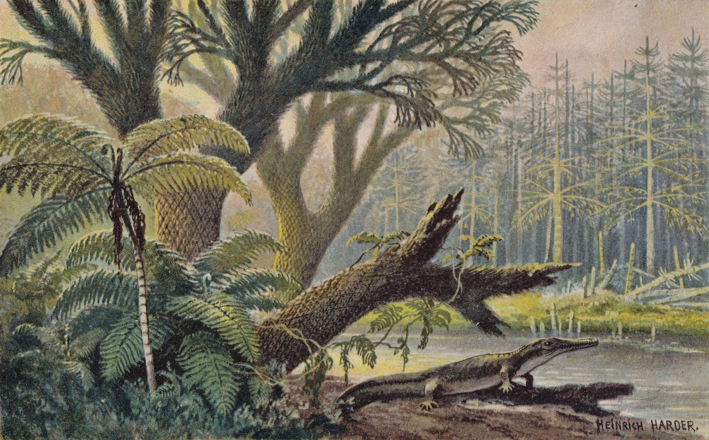 1902 ARCHEGOSAURUS in COAL FOREST Print - Antique Dinosaur Print - Permian Fossil - Paleoart Wall Art - 121 Years Old - 10.5 