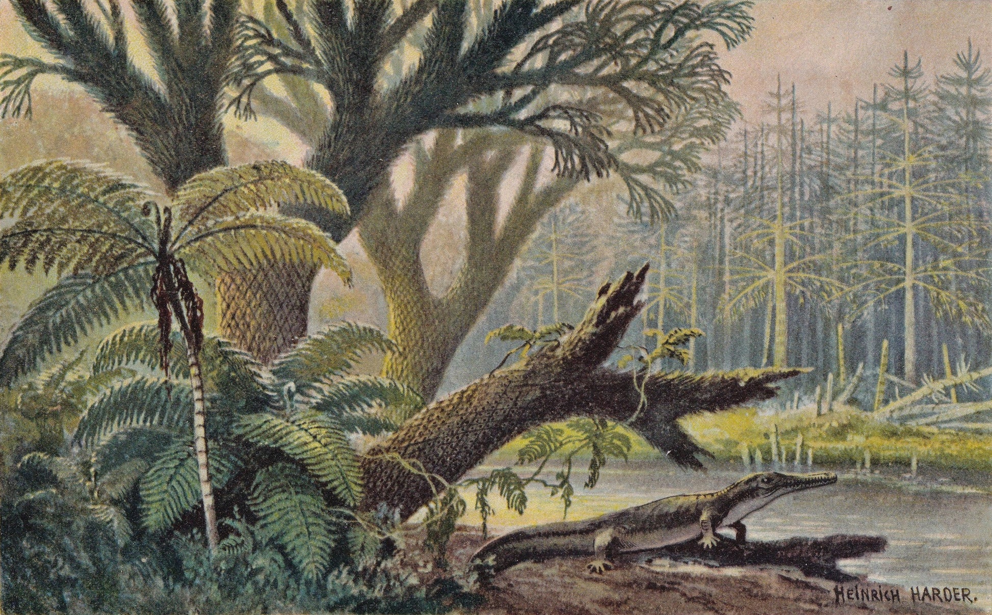 1902 ARCHEGOSAURUS in COAL FOREST Print - Antique Dinosaur Print - Permian Fossil - Paleoart Wall Art - 121 Years Old - 10.5 