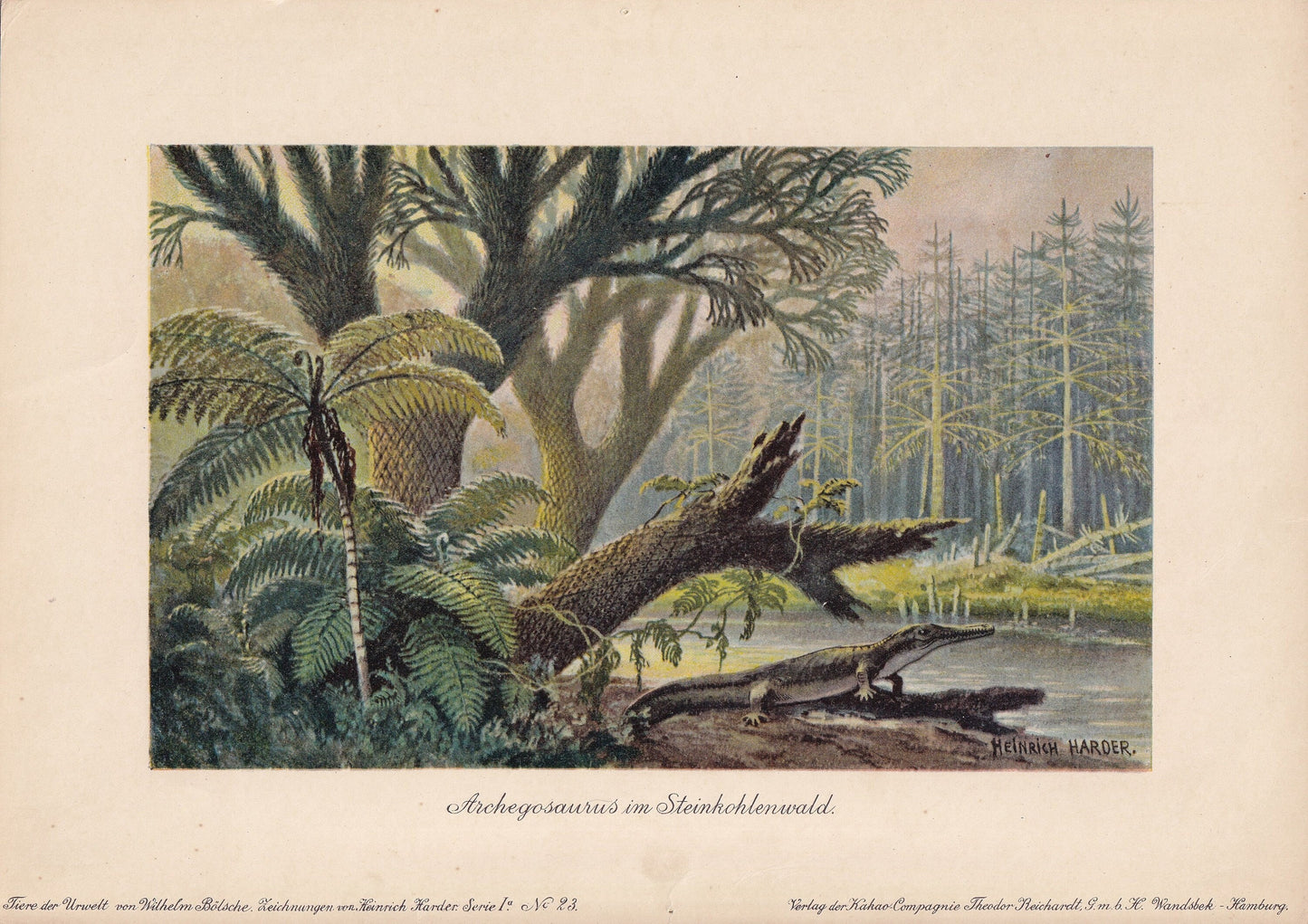 1902 ARCHEGOSAURUS in COAL FOREST Print - Antique Dinosaur Print - Permian Fossil - Paleoart Wall Art - 121 Years Old - 10.5 