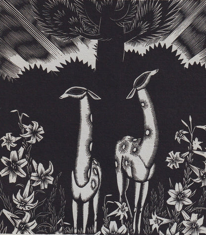 1931 JAMES REID Print - Deer Wood Engraving - James Reid Wood Engraving - Song of Songs - Original Antique Print - 7 x 10 Inches