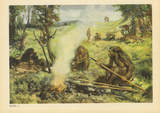 1960 NEANDERTHAL TOOL USE Print - Prehistoric Man Print - Paleoart - Human Evolution Print - Neanderthal Art - 13.5 x 9.75 Inches