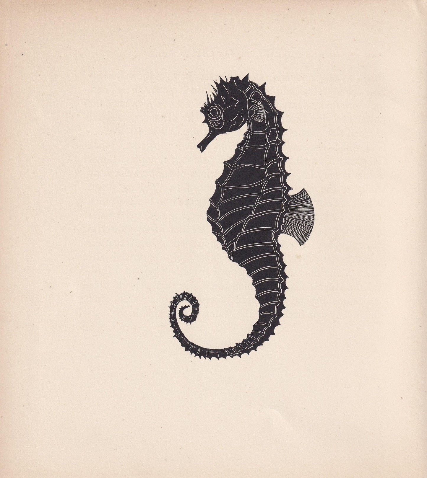 1929 SEAHORSE Print Wood Engraving - Seahorse Wall Art - Sea Life Print - Antique Animal Print - Sea Decor - 8 x 7.25 Inches