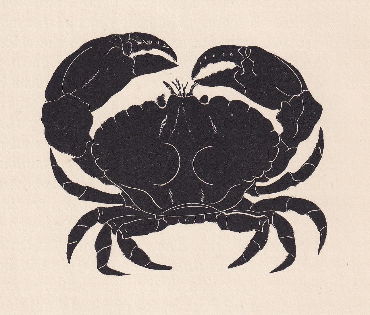 1929 CRAB Print Wood Engraving - Crab Wall Art - Sea Life Print - Antique Animal Print - Sea Decor - 8 x 7.25 Inches
