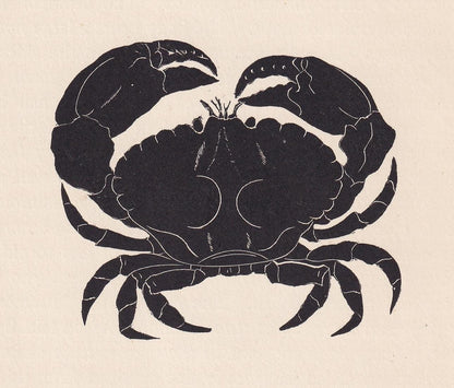 1929 CRAB Print Wood Engraving - Crab Wall Art - Sea Life Print - Antique Animal Print - Sea Decor - 8 x 7.25 Inches