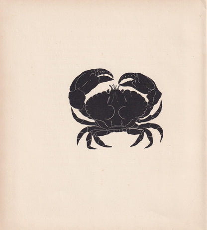 1929 CRAB Print Wood Engraving - Crab Wall Art - Sea Life Print - Antique Animal Print - Sea Decor - 8 x 7.25 Inches
