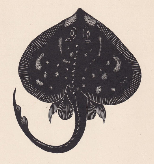 1929 SKATE Fish Print Wood Engraving - Fish Wall Art - Sea Life Print - Antique Animal Print - Sea Decor - 8 x 7.25 Inches