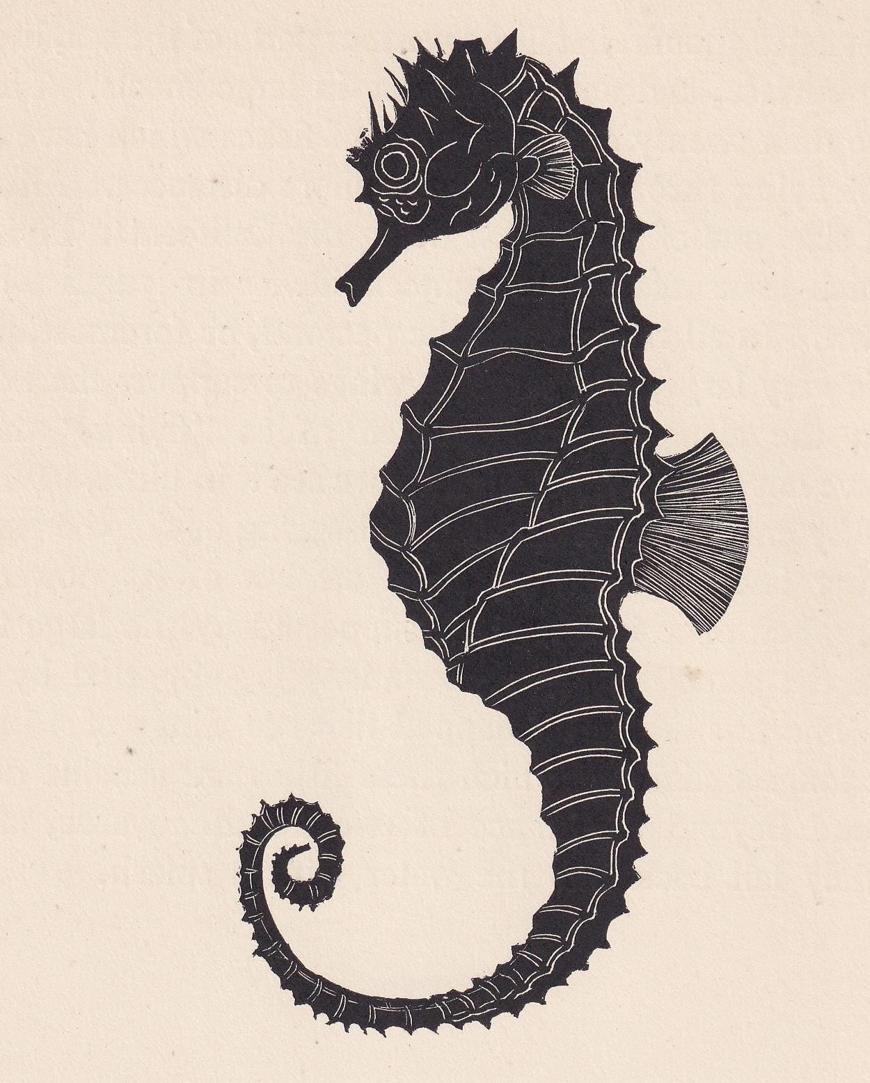 1929 SEAHORSE Print Wood Engraving - Seahorse Wall Art - Sea Life Print - Antique Animal Print - Sea Decor - 8 x 7.25 Inches