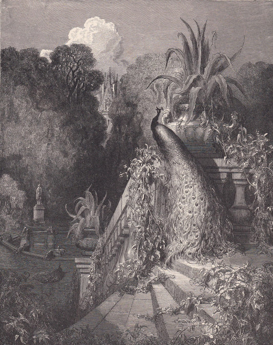 1870 GUSTAVE DORE Print - "The Peacock Complaining to Juno" - Dore Wall Art - Dore Engraving - 8.5 x 12.2 Inches